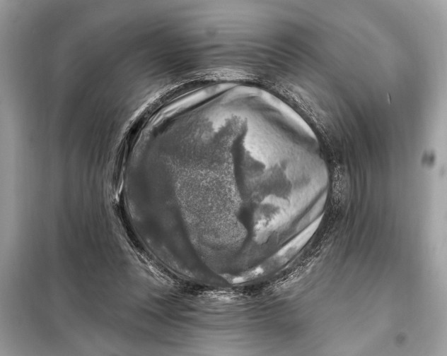 X0000098170351200805081006