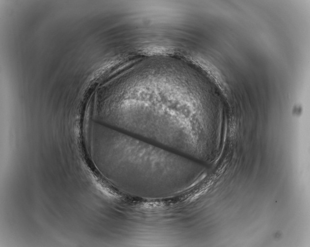 X0000098170353200805081006