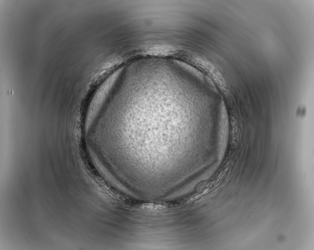 X0000098170354200805081006