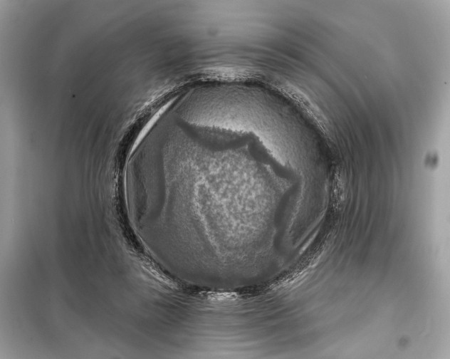 X0000098170355200805081006