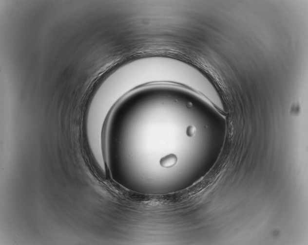 X0000098170356200805081006