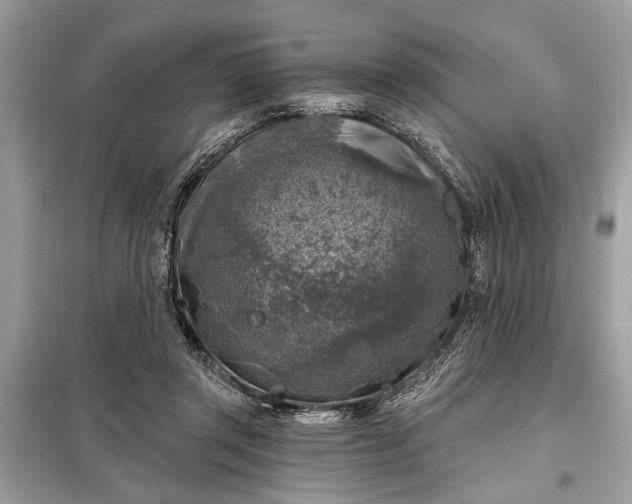 X0000098170357200805081006