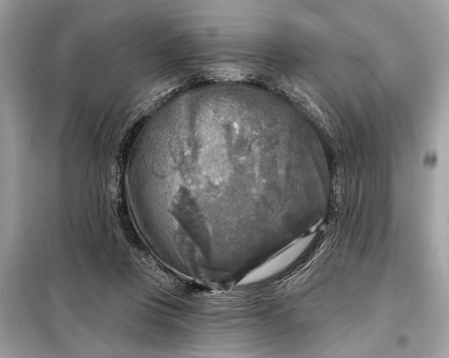 X0000098170359200805081006