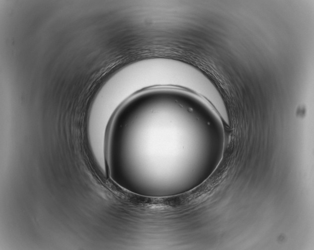 X0000098170360200805081006