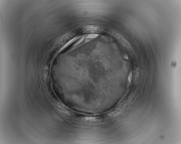 X0000098170361200805081006