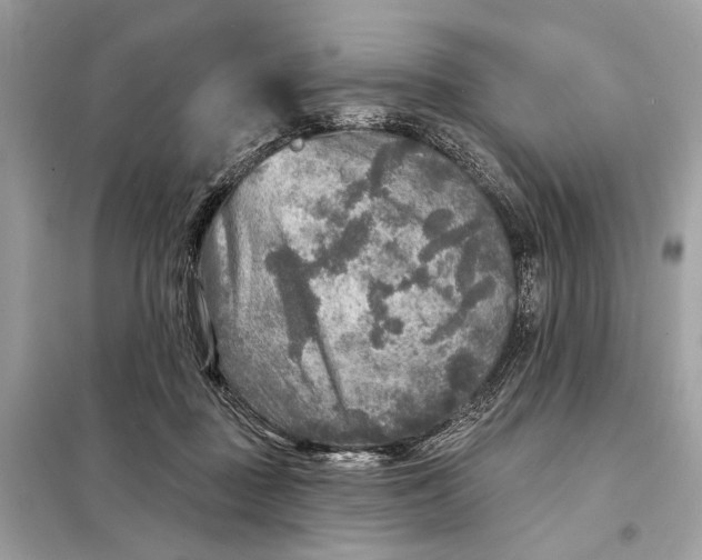 X0000098170363200805081006