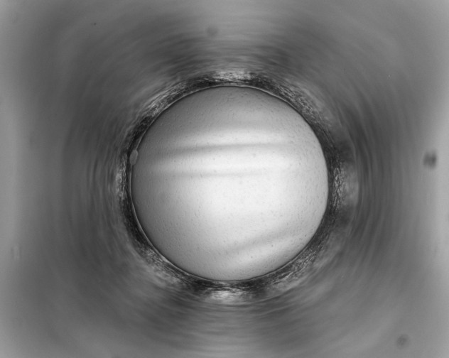 X0000098170364200805081006