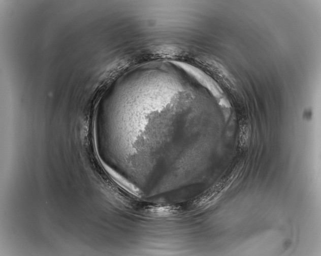 X0000098170365200805081006