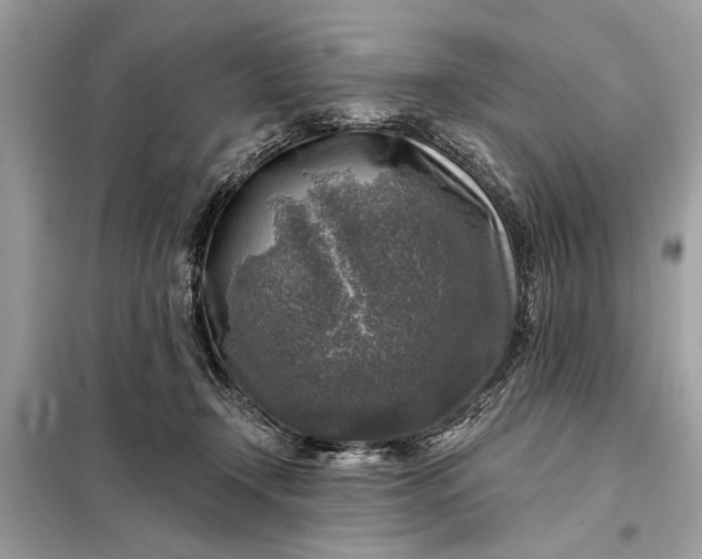 X0000098170366200805081006