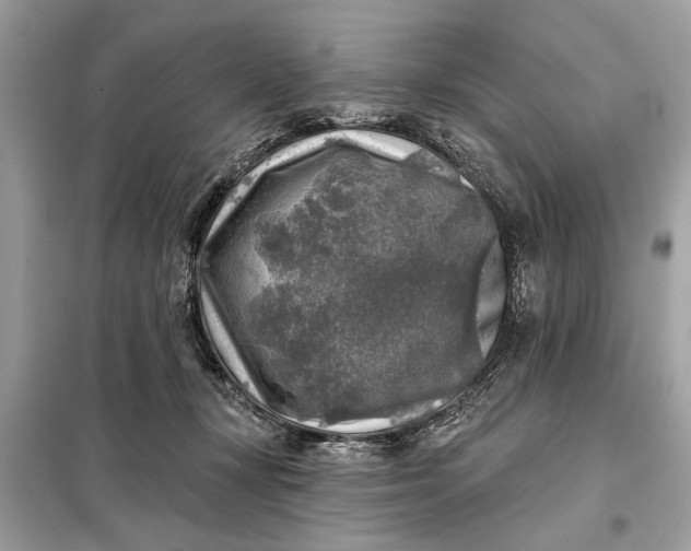 X0000098170367200805081006