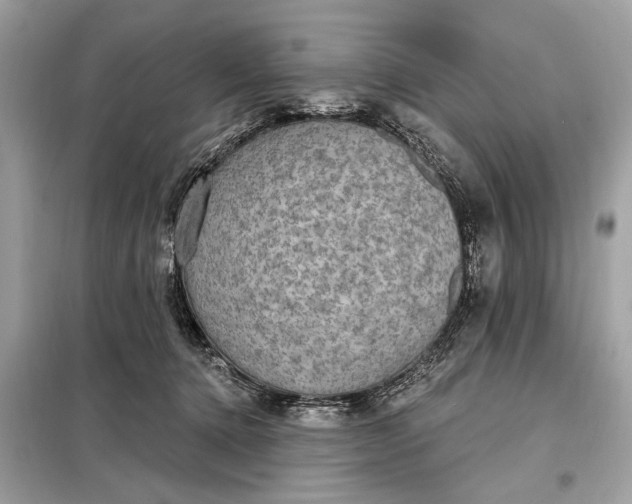 X0000098170368200805081006