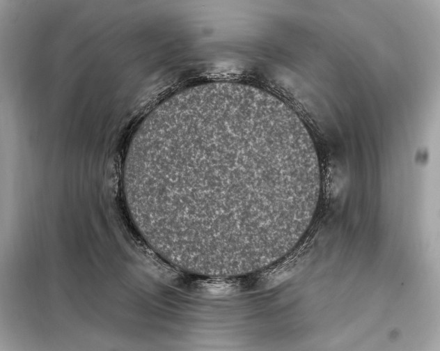 X0000098170370200805081006