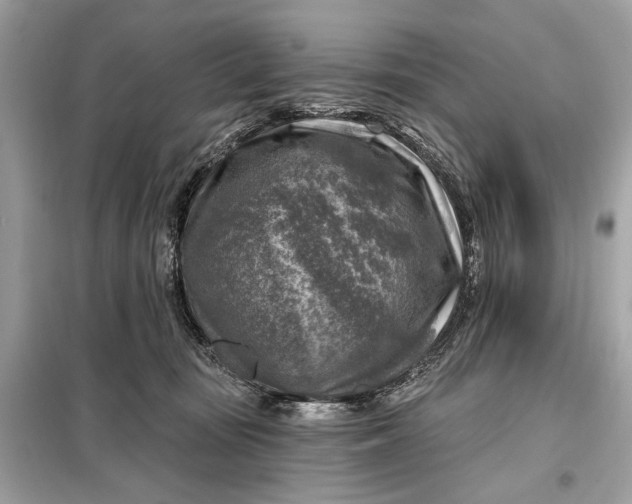 X0000098170371200805081006