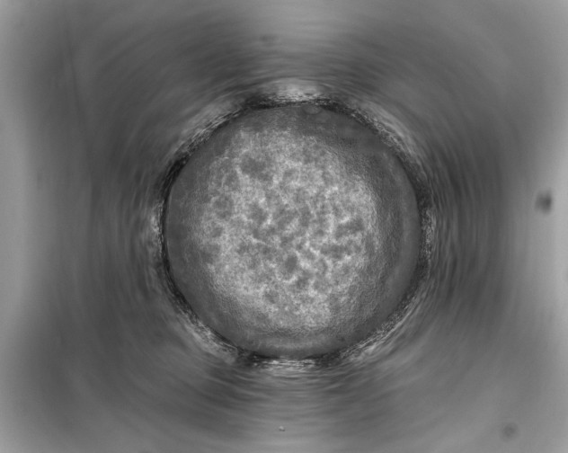 X0000098170373200805081006