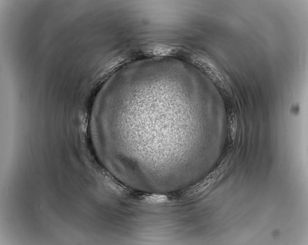 X0000098170374200805081006