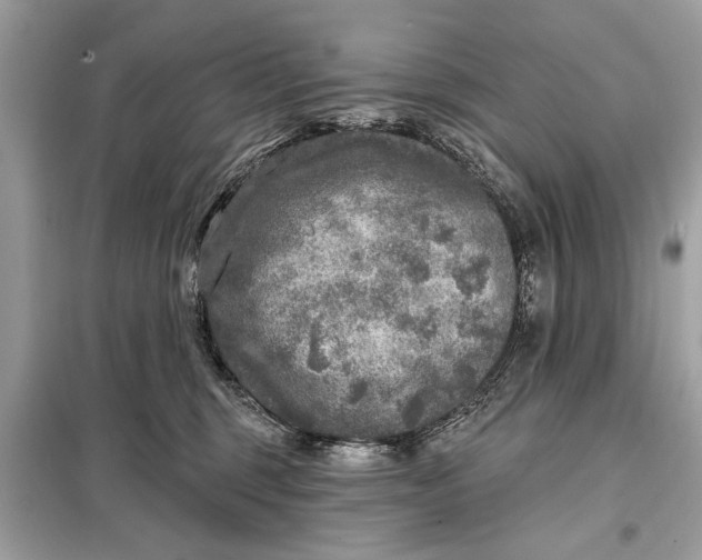 X0000098170375200805081006