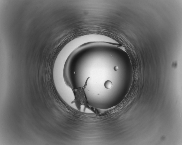 X0000098170376200805081006