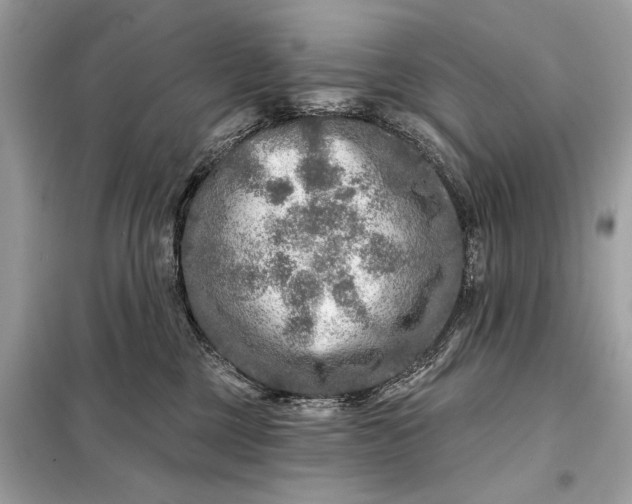 X0000098170377200805081006