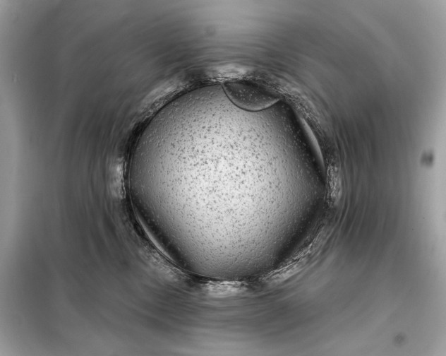 X0000098170378200805081006