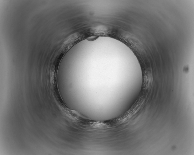 X0000098170379200805081006