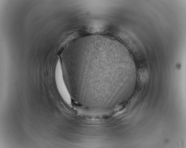 X0000098170380200805081006