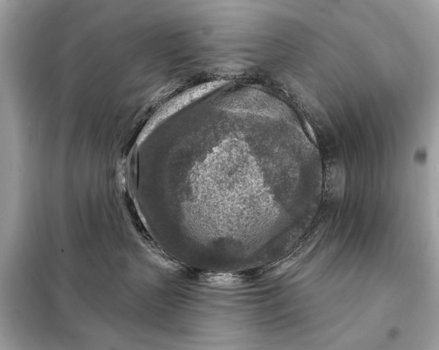 X0000098170383200805081006