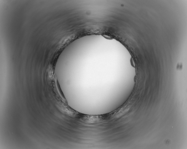 X0000098170384200805081007