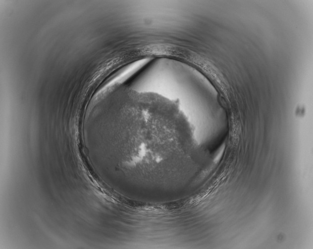 X0000098170386200805081006