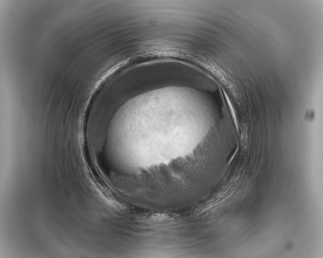 X0000098170390200805081006