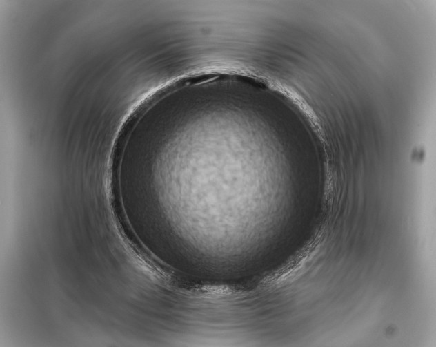 X0000098170391200805081006