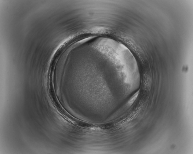 X0000098170392200805081006