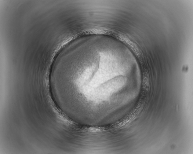 X0000098170394200805081006