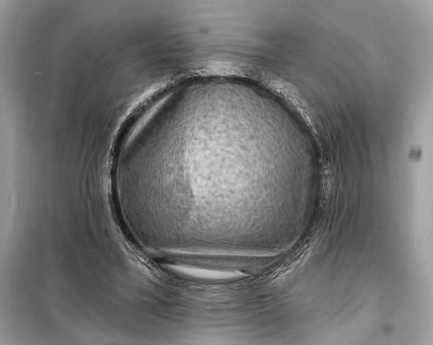 X0000098170395200805081006