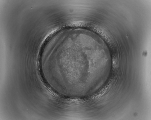 X0000098170396200805081006