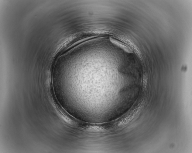 X0000098170397200805081006