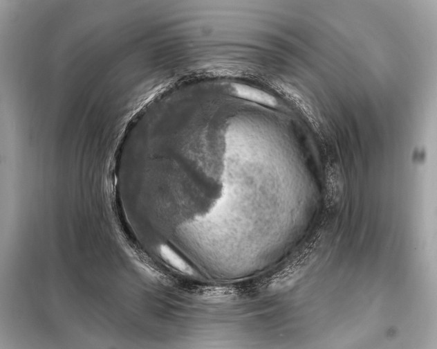 X0000098170398200805081006