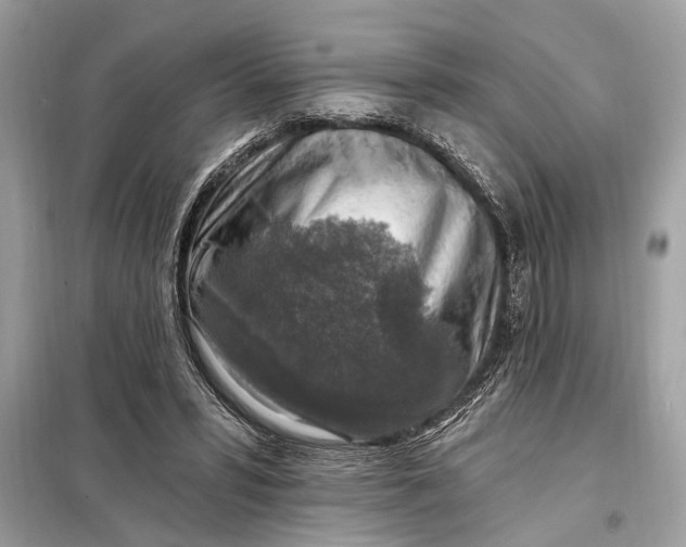 X0000098170399200805081005