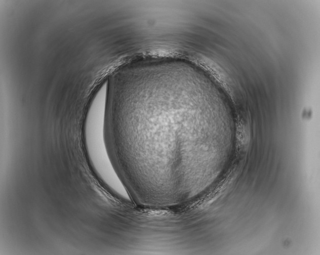 X0000098170401200805081005