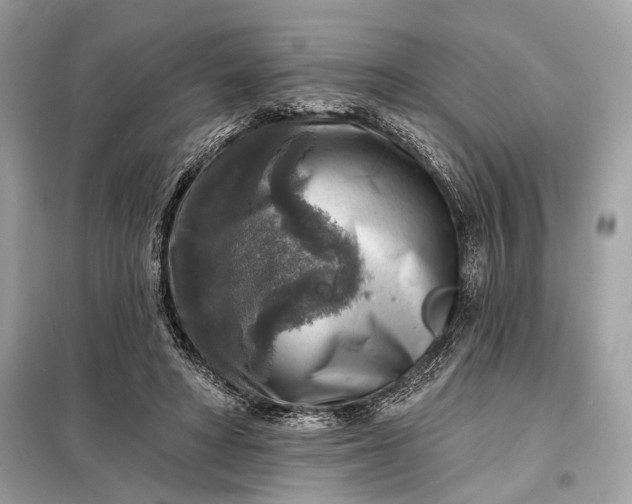 X0000098170402200805081005