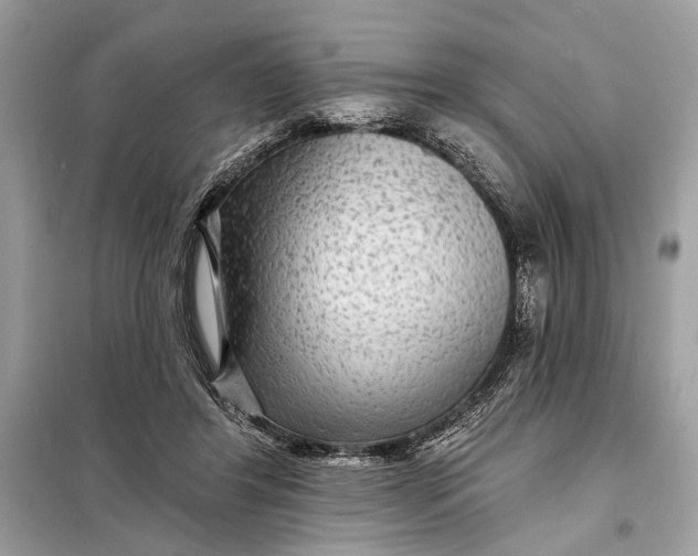 X0000098170404200805081005