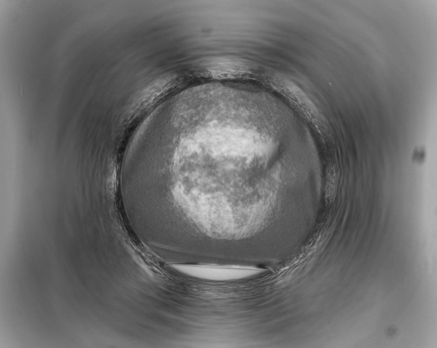 X0000098170405200805081005