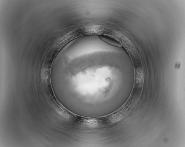 X0000098170409200805081005