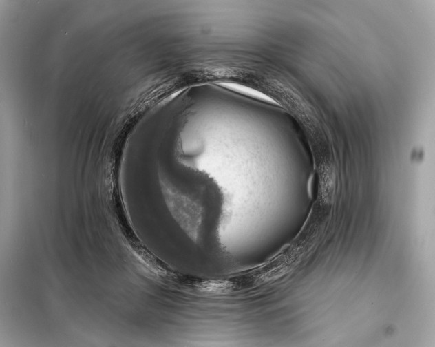 X0000098170410200805081005