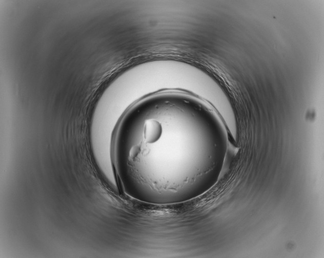 X0000098170411200805081005