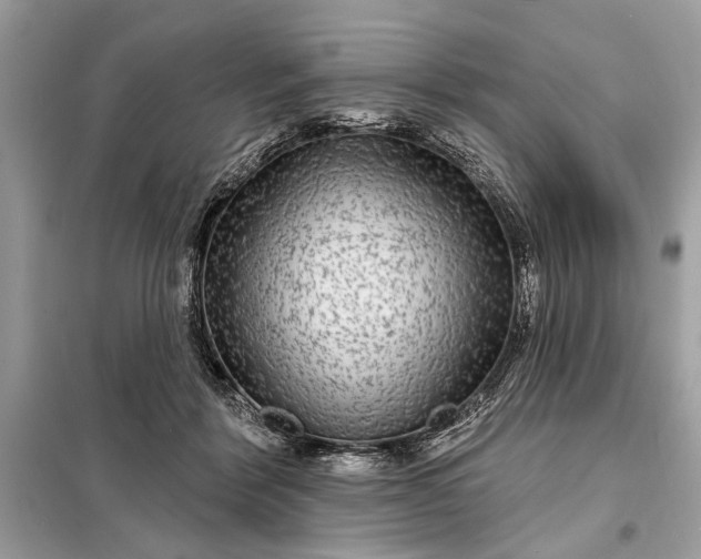 X0000098170412200805081005