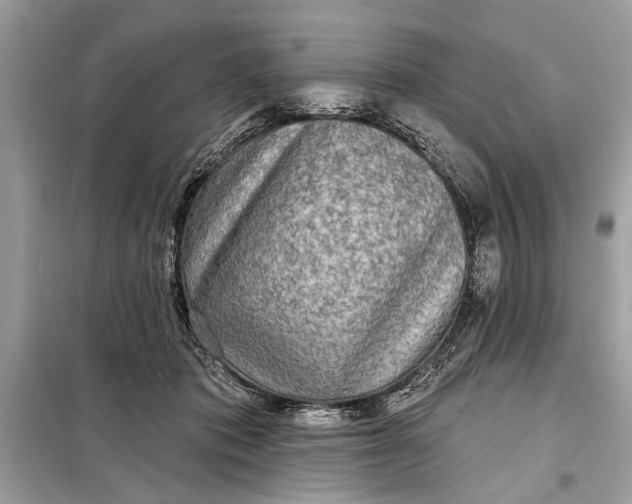 X0000098170413200805081005