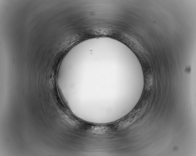 X0000098170414200805081005