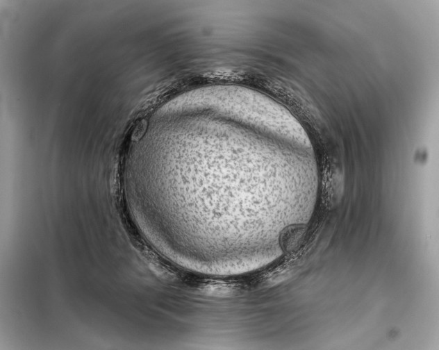 X0000098170416200805081005