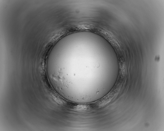 X0000098170418200805081005