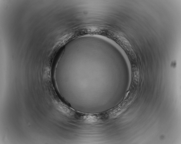 X0000098170419200805081005